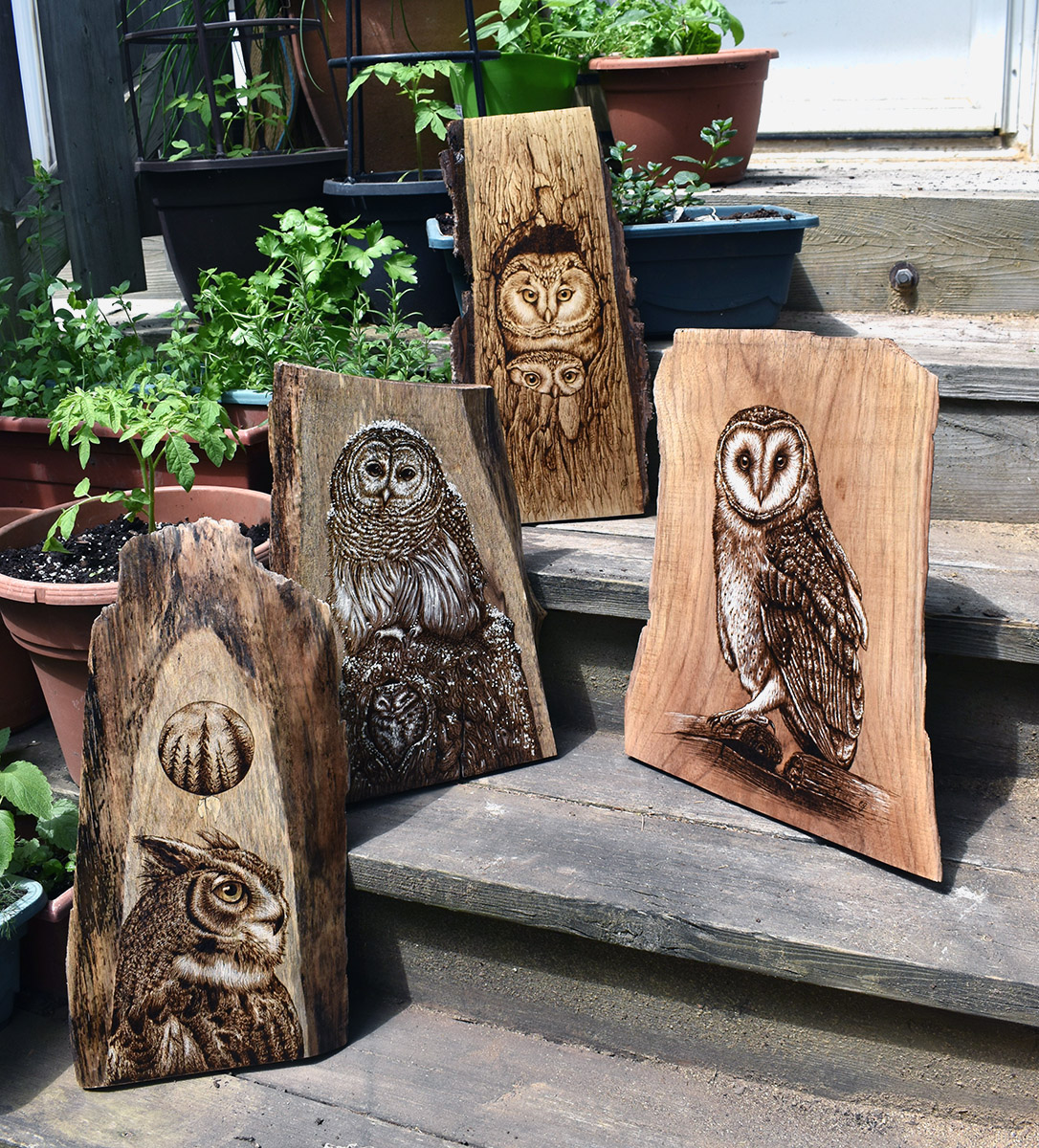 Four Owls Woodburning Cara Jordan