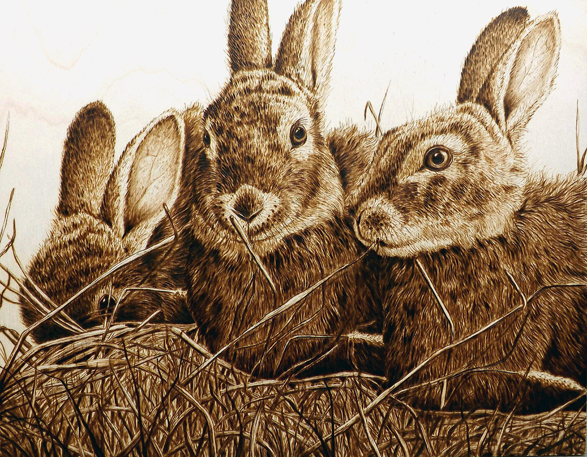 Timothy Hay Trio Woodburning Cara Jordan