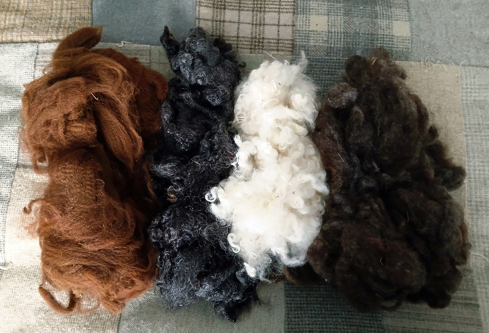 Raw wool